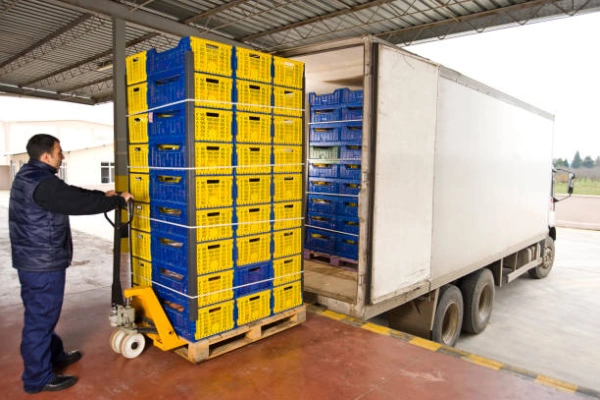 Frozen Food Delivery Frozen Food Delivery